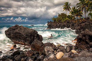 green ocean wave beside brown rock formation and coconut palm trees under white and blue cloudy sky